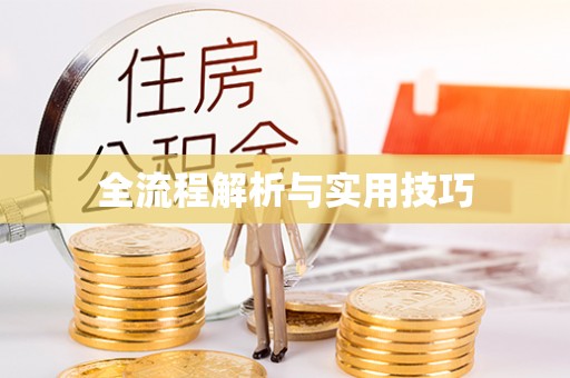 于田全流程解析与实用技巧