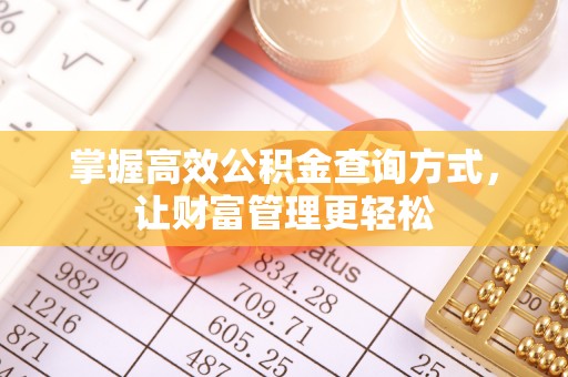 于田掌握高效公积金查询方式，让财富管理更轻松